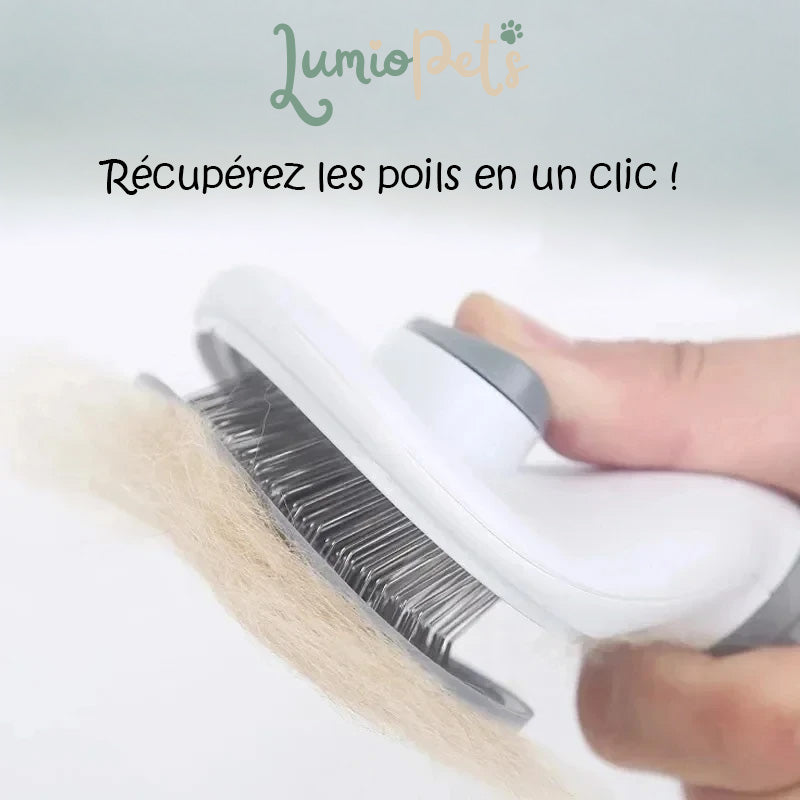 Lumiopets™ Haarbürste mit einfacher Auswurffunktion
